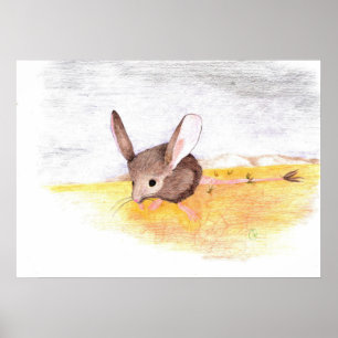 Póster Ratón seco