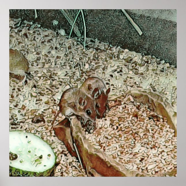 Póster Ratones enanos toony (Frente)