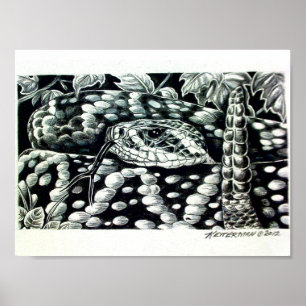 Póster Rattlesnake Diamondback