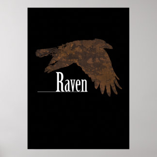 Póster Raven