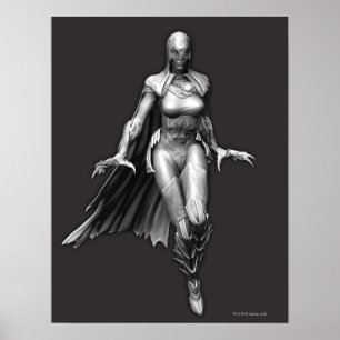 Póster Raven