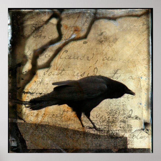 Póster Raven Art (Frente)
