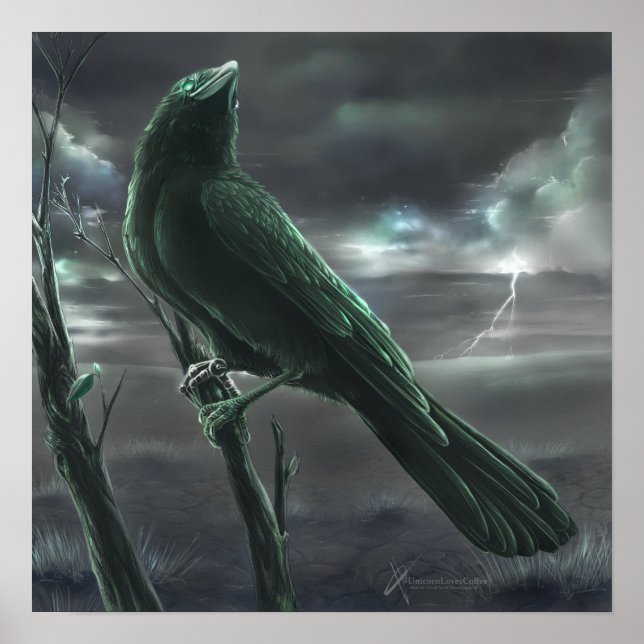 Póster Raven bot (Frente)