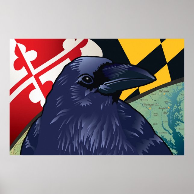 Póster Raven ciudadano, nunca más en Maryland (Frente)