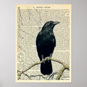 Póster Raven, Crow, Edgar Allan Poe, Gótico