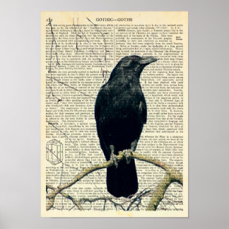 Póster Raven, Crow, Edgar Allan Poe, Gótico