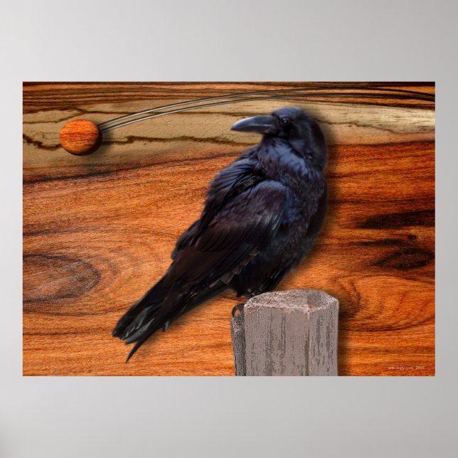 PÓSTER RAVEN ECLIPSE (Frente)