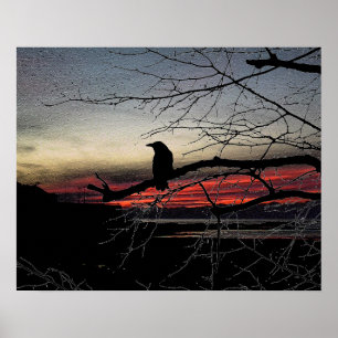 Póster Raven en el árbol al atardecer