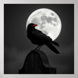 Póster Raven Enigmático y Luna Llena - Ar De Carbón Mític