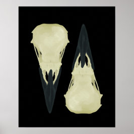 Póster Raven Skulls