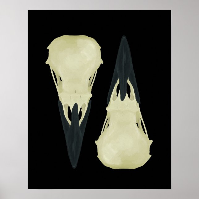Póster Raven Skulls (Frente)