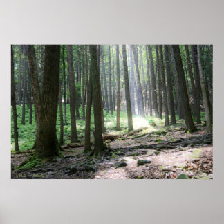 Póster Ray of Hope 36 x 24 Poster