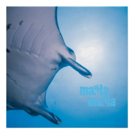 Póster Rayo de manta