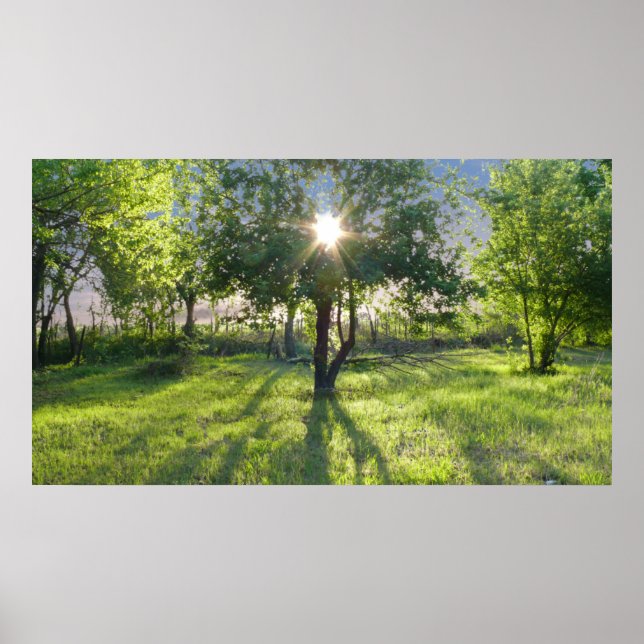 Póster Rayo de sol (Frente)