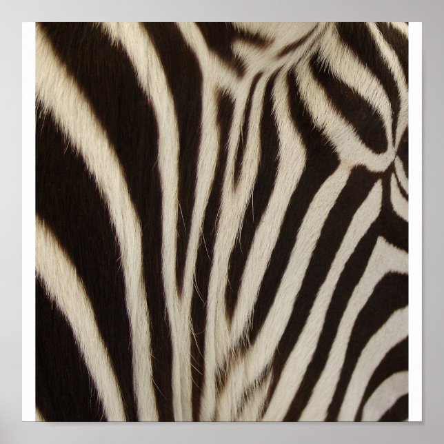 Póster Rayo Z (Frente)