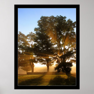 Póster Rayos de luz 4