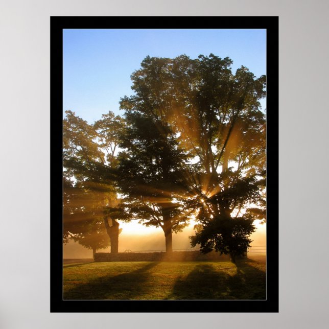 Póster Rayos de luz 4 (Frente)