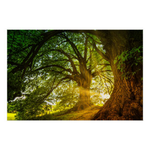 Póster rayos de sol