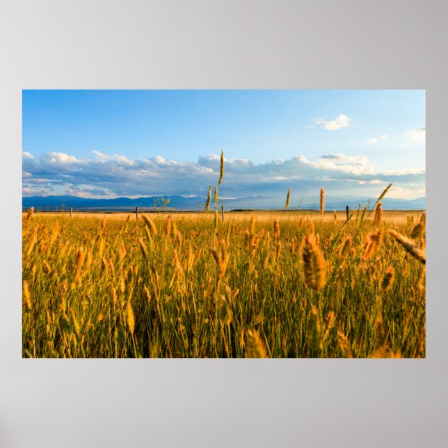 Póster Rayos de sol sobre campo de trigo con montañas (Frente)
