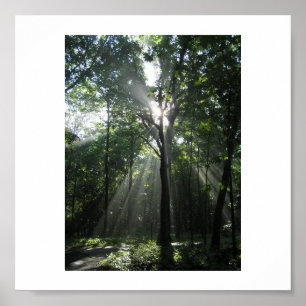 Póster Rayos de Sun, mañana brumosa
