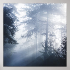 Póster Rayos solares brillando a través del bosque nublad