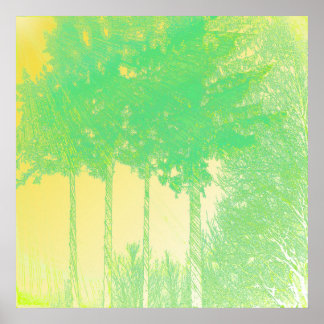 Póster Rays of Hope 3 árboles impresos