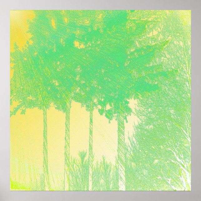 Póster Rays of Hope 3 árboles impresos (Frente)