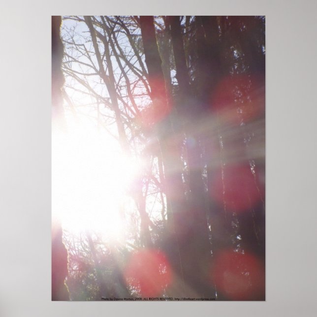 Póster Rays solares madrugadores #28 (Frente)