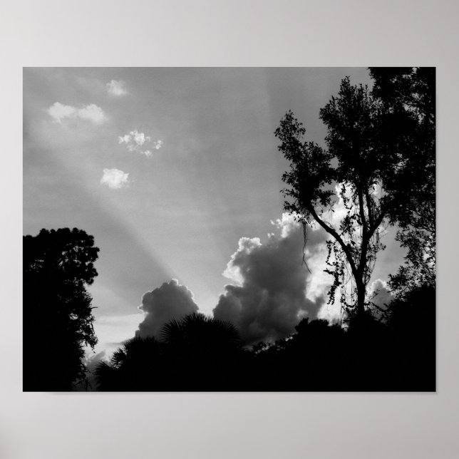 Póster Rays Sun de B&W al atardecer - Sky Photo (Frente)