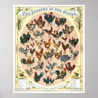 Razas de aves de corral 1868