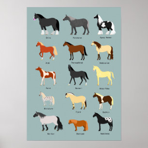Póster razas de caballos