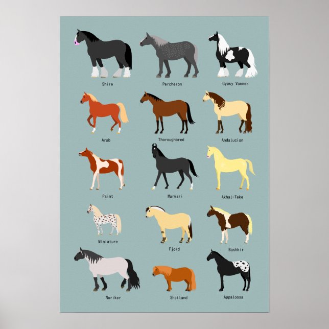 Póster razas de caballos (Frente)