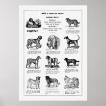 Razas de perros