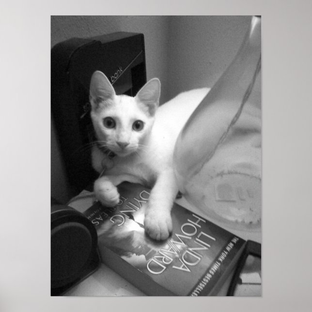 Póster Reading (Frente)