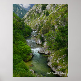 Póster Real España Cantabria