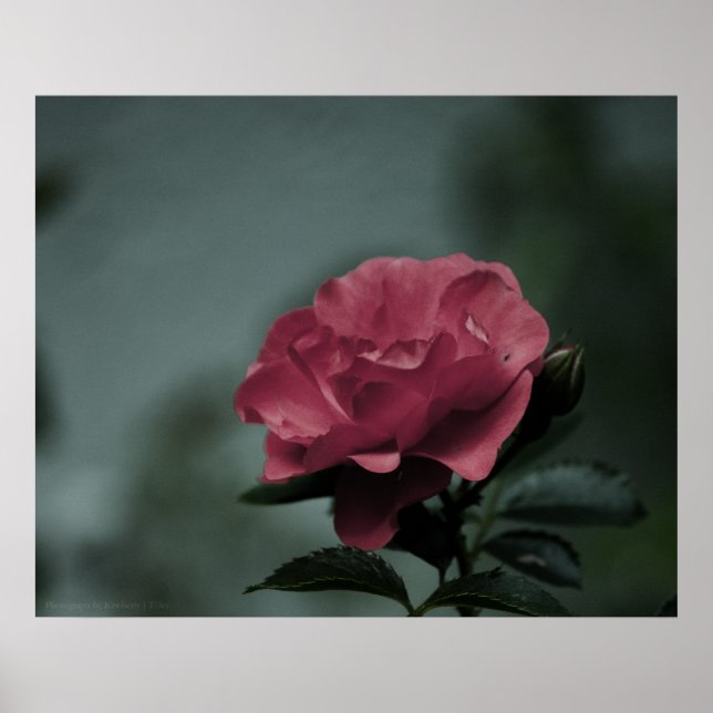 Póster Real Rubor Print (Frente)