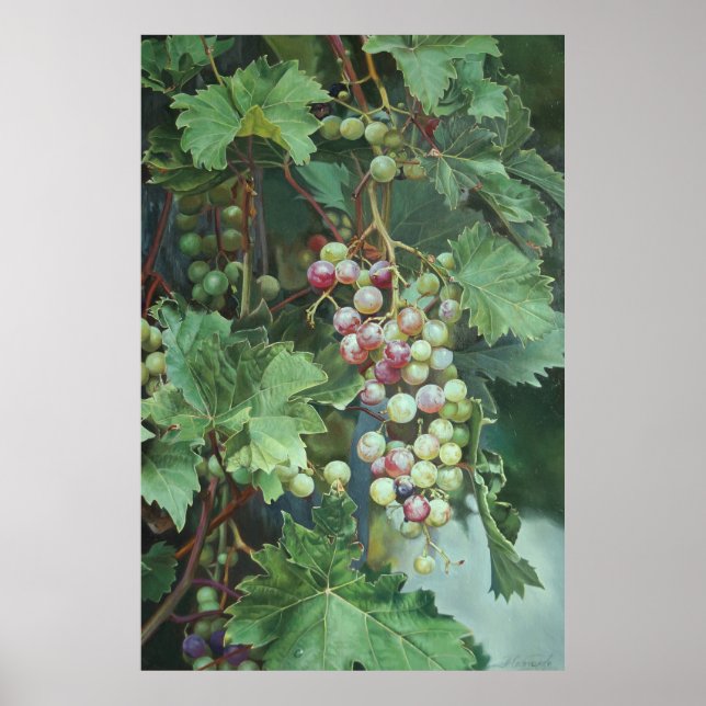 Póster Realistic Grape Vine with Leaves – Fine Art (Frente)