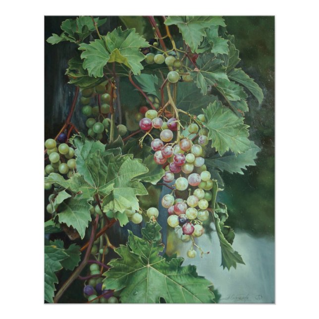 Póster Realistic Grape Vine with Leaves – Fine Art (Anverso)