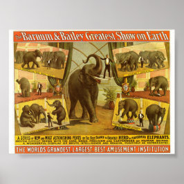 Póster Realizando elefantes Barnum y Bailey Circus Poster