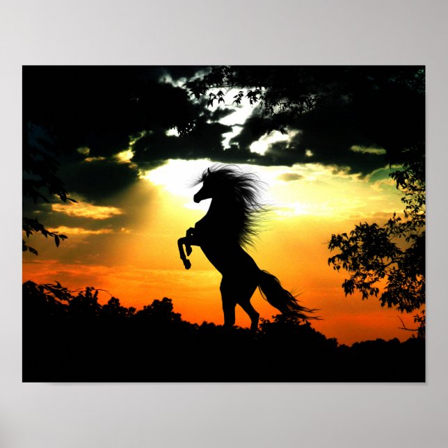 Póster Rearing horse at sunset (Frente)