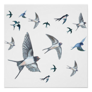 Póster  Rebaño de aves tragaperras que vuelan