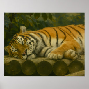 Póster Rebelión de los bosques - Descanso del tigre en la