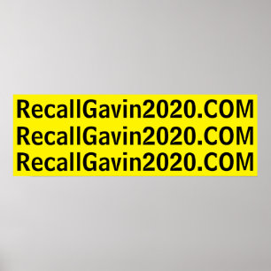 Póster recallgavin2020 36x12