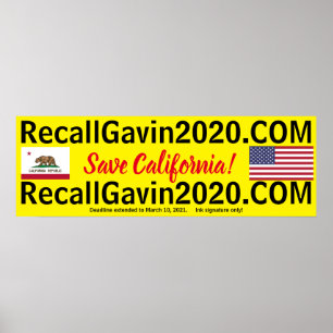 Póster recallgavin2020 36x12