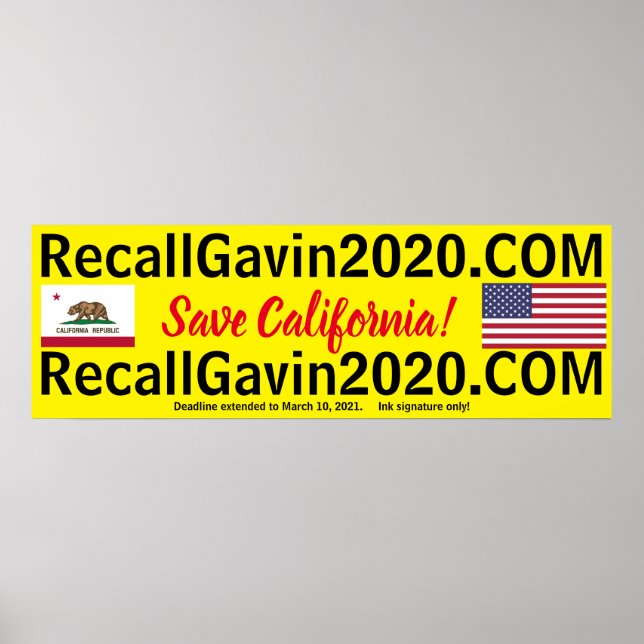 Póster recallgavin2020 36x12 (Frente)