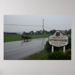 Póster Recepción a la cópula