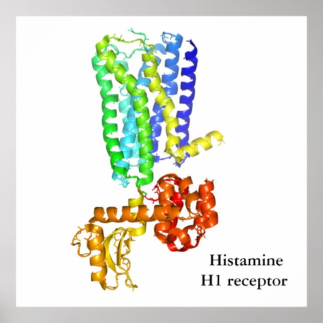 Póster Receptor de histamina (Frente)