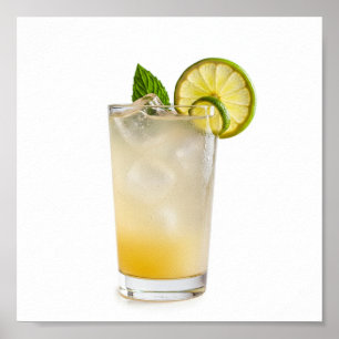 Póster Receta de Gin Fizz