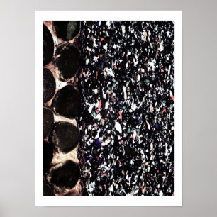 Póster Reciclaje ~ Pring / Poster / Fotografía