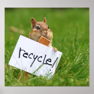 Póster Reciclando chipmunk